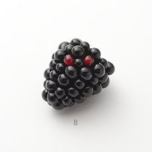 画像4: エリザベス・ジョンソン「Blackberry」