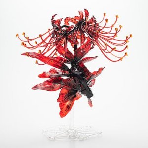 画像6: 穂坂英樹「花尾多鰭金魚“阿吽”セット」