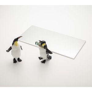 画像6: 森智清「着ぐるみは思った以上に暑い」