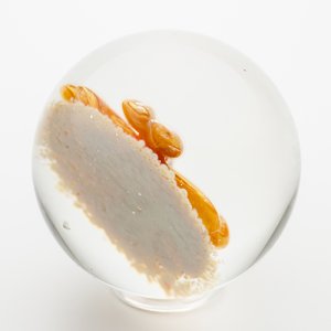 画像5: Andrew Brown