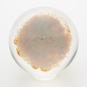 画像6: Andrew Brown