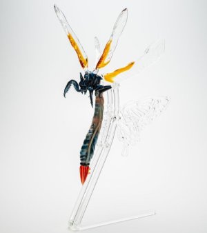 画像3: 穂坂英樹「Dragonfly glasspen / 蜻蛉ガラスペン」