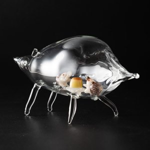 画像6: RINVERRE「大好きなプリン」