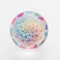 涌井梓「マーブル：透けるお花とパステルフラワーφ34mm」