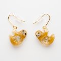 涌井梓「ピアス：ナマケモノ」