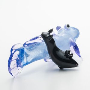 画像6: 押野由紀子「喰うか喰われるか ウミウシvsハゼ」