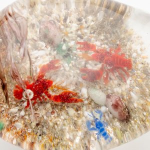 画像7: 中原雅恵　「ザリガニ」