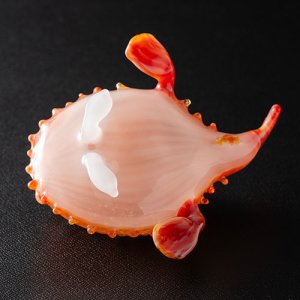 画像7: 清藤智子「ミドリフサアンコウ」※発送不可、KOBEとんぼ玉ミュージアム来館受取のみ可能