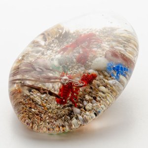 画像6: 中原雅恵　「ザリガニ」