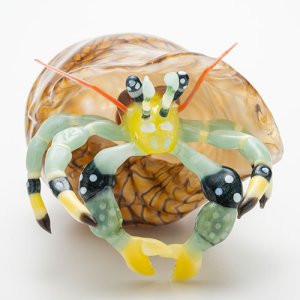 画像8: 森智清「ヤドカリ」