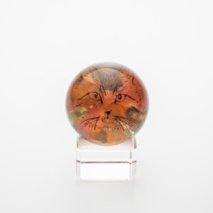 画像1: 坂上友弥「ねこマーブル」