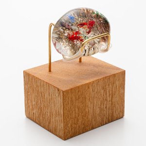 画像10: 中原雅恵　「ザリガニ」