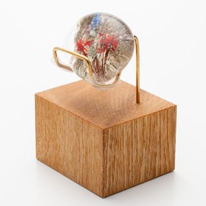 画像9: 中原雅恵　「ザリガニ」