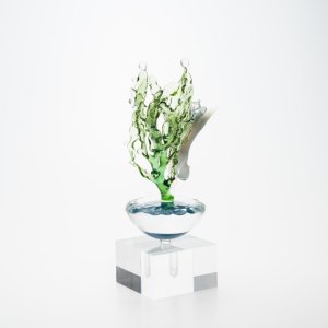 画像4: 樫田睦「素潜りラッコ」