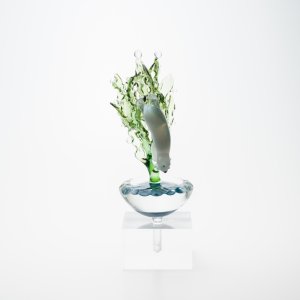 画像7: 樫田睦「素潜りラッコ」