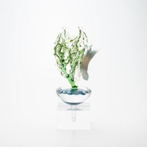 画像5: 樫田睦「素潜りラッコ」