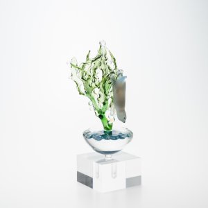 画像6: 樫田睦「素潜りラッコ」