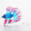 網野篤子「Betta Blue-red Halfmoon」※発送不可、受取りは手渡しのみ可能