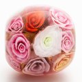 上村秀也「百万本の薔薇」