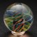 kevinnail/w623021c.jpg