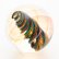 kevinnail/w623021d.jpg