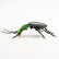 minagawayosiko/w082009b.jpg