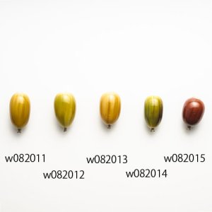 minagawayosiko/w082011a1.jpg