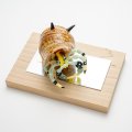 森智清「ヤドカリ」