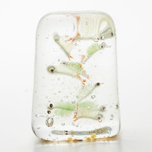 画像1: 中原雅恵 「ホウネンエビ」