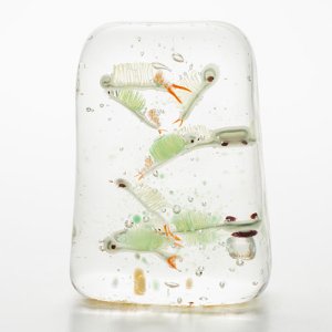 画像3: 中原雅恵 「ホウネンエビ」