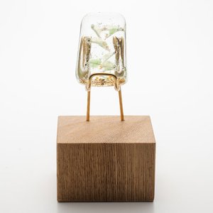 画像5: 中原雅恵 「ホウネンエビ」