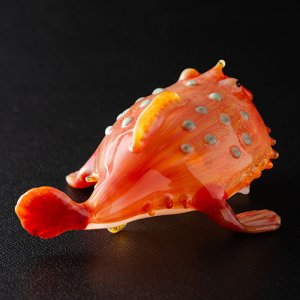 画像5: 清藤智子「ミドリフサアンコウ」※発送不可、KOBEとんぼ玉ミュージアム来館受取のみ可能