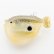 seito/w246071a.jpg