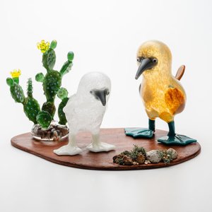 画像1: 清藤智子「アオアシカツオドリとガラパゴスウチワサボテン」