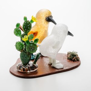 画像5: 清藤智子「アオアシカツオドリとガラパゴスウチワサボテン」