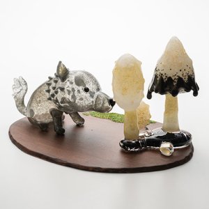 画像3: 清藤智子「オオカミの仔とササクレヒトヨタケ」