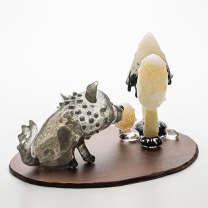 画像4: 清藤智子「オオカミの仔とササクレヒトヨタケ」