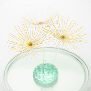 画像5: 多田えり佳「風に吹かれて」※発送不可、受取りは手渡しのみ可能