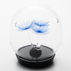 画像2: 多田えり佳「風に吹かれて」※発送不可、受取りは手渡しのみ可能