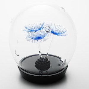 画像3: 多田えり佳「風に吹かれて」※発送不可、受取りは手渡しのみ可能