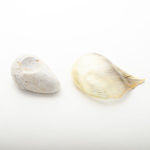 画像6: 田上惠美子「散華　香合、石：親不知海岸」