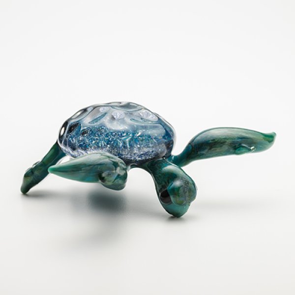 画像6: 佐々木淳「ウミガメ　(水)」 (6)