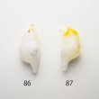 画像2: 涌井梓「ペンダント：オカメインコ」 (2)