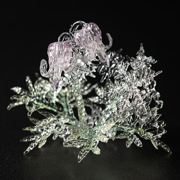 doi-yoko/258014a.jpg