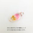 画像3: Jellyfish Pendant (3)