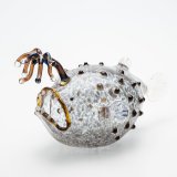 ガラスの水族館 - KOBEとんぼ玉ミュージアムWEBSHOP