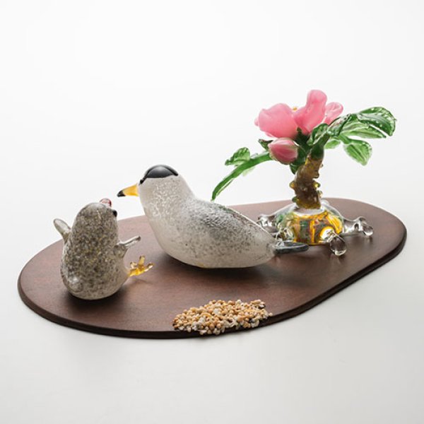 画像4: 清藤智子「コアジサシとハマナス」 (4)