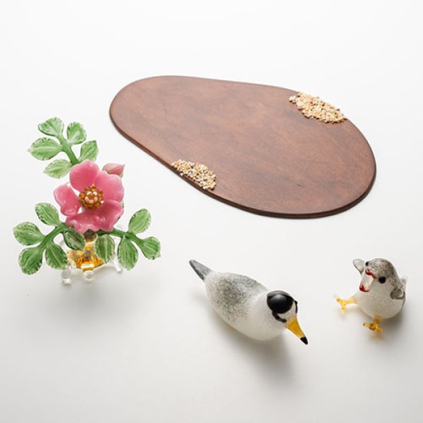 画像5: 清藤智子「コアジサシとハマナス」 (5)